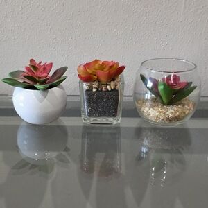 Succulent Trio in Glass and Ceramic Pots